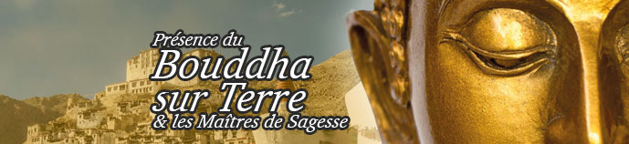 les-offres-du-mois